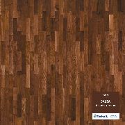 Tarkett Salsa ������ ������