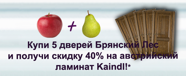 Акция на двери брянский лес
